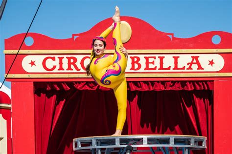 circus bella reviews